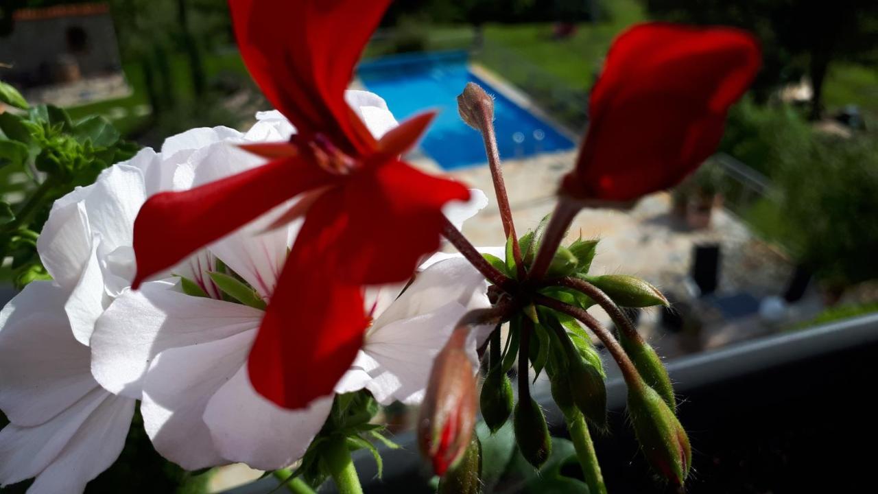 Mainstockheim Pension Am Weinberg Bed & Breakfast מראה חיצוני תמונה